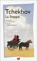 La Steppe, Histoire d'un voyage