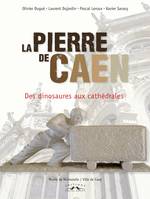 La pierre de Caen, des dinosaures aux cathédrales