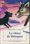 Chien de brisquet, - CADET