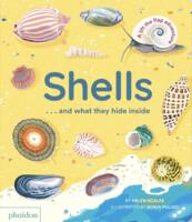 SHELLS... AND WHAT THEY HIDE INSIDE