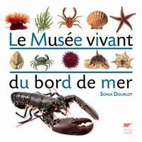 Monde aquatique et poissons Le musée vivant du bord de mer