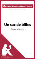 Un sac de billes de Joseph Joffo, Questionnaire de lecture