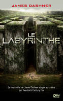 Le labyrinthe - Tome 01 : L'épreuve, Le labyrinthe