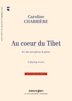 AU COEUR DU TIBET