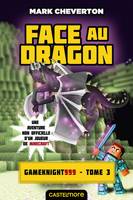 3, Minecraft - Les Aventures de Gameknight999, T3 : Face au dragon, Minecraft - Les Aventures de Gameknight999 T03