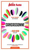 CARCASSONNE ET 50 KM AUTOUR 2021 Carnet Petit Futé