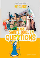 Le Mont Sainte Odile En Questions