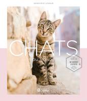 Chats du monde, De Québec à Kyoto