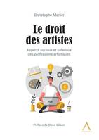 Le droit des artistes, Aspects sociaux et salariaux des professions artistiques