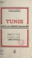 Tunis sous la croix gammée, 8 novembre 1942-7 mai 1943