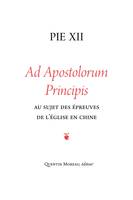 Ad Apostolorum Principis, Au sujet des épreuves de l´Église en Chine