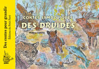 Contes symboliques des druides