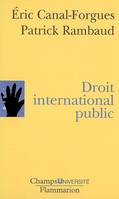 DROIT INTERNATIONAL PUBLI