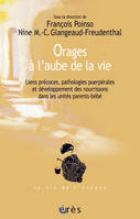 Orages à l'aube de la vie. Liens précoces, pathologies puerpérales, liens précoces, pathologies puerpérales et développement des nourrissons dans les unités parents-enfants