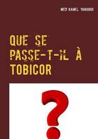 Que se passe-t-il à Tobicor ?, Un roman ou s'entrêmelent l'amour, la quête de l invisibilité, les manipulations génétiques et un Dieu contestataire dans des lieux intrigants de la Californie jusqu'au Sahara algérien.