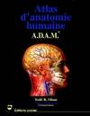 Atlas d'anatomie humaine ADAM