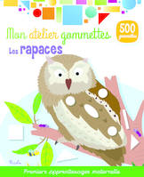 Les rapaces