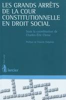 Les grands arrêts de la cour constitutionnelle en droit social