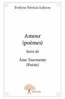 Amour (poèmes), Suivi deÂme Tourmente(Poésie)