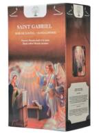 ETUI 12 BATONNETS ENCENS SAINT GABRIEL