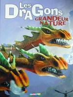 Les Dragons grandeur nature