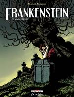 Frankenstein ou Le Prométhée moderne, Volume 1, Frankenstein, de Mary Shelley T01