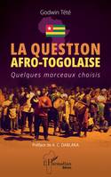 La question afro-togolaise, Quelques morceaux choisis