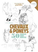Chevaux & poneys, 50 modèles pour débuter