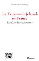 LES TEMOINS DE JEHOVAH EN FRANCE - SOCIOLOGIE D'UNE CONTROVERSE, Sociologie d'une controverse