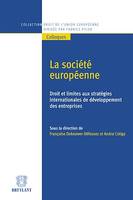 La société européenne, Droit et limites aux stratégies internationales de développement des entreprises