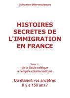 Histoires secrètes de l'immigration en France-tome 1, tome 1: de la Gaule celtique à l' Empire colonial métissé