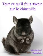 Tout ce qu'il faut savoir sur le chinchilla