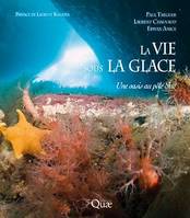 La vie sous la glace, Une oasis au pôle Sud