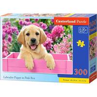 PUZZLE 300 PCS - LABRADOR DANS LA CAISSE