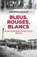 Bleus, rouges, blancs, Dictionnaire biographique du mouvement ouvrier choletais, 1870-1914
