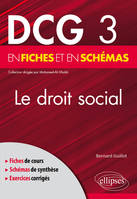 Le droit social, Dcg 3 en fiches et en schémas