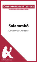 Salammbô de Gustave Flaubert, Questionnaire de lecture