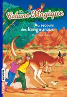 19, La cabane magique / Au secours des kangourous, Au secours des kangourous