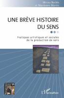 Une brève histoire du sens, Pratiques artistiques et sociales de la production de sens