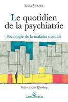 Le quotidien de la psychiatrie, Sociologie de la maladie mentale