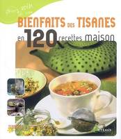 Bienfaits des tisanes en 120 recettes maison