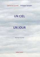 Un ciel, un jour, Typologie du furtif