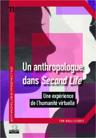 Un anthropologue dans Second life, Une expérience de l'humanité virtuelle