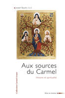 Aux sources du Carmel, Histoire et spiritualité