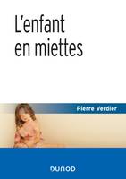 L'enfant en miettes - 4e éd, L'aide sociale à l'enfance : bilan et perspectives