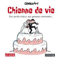 Chienne de vie, Des petits tracas aux grosses emmerdes