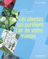 Les plantes qui purifient l'air de votre maison