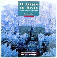 Le jardin en hiver, formes, plantes et couleurs