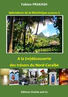 splendeurs de la martinique - A LA (RE)D2COUVERTE DES TRÉSORS DU NORD-CARAÏBE, A LA (RE)DÉCOUVERTE DES TRÉSORS DU NORD-CARAÏBE