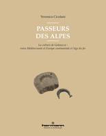 Passeurs des Alpes, La culture de Golasecca : entre Méditerranée et Europe continentale à l'âge du fer